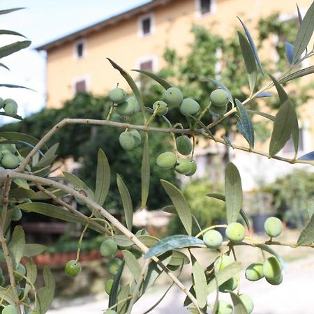 تشيوسي B&B Al Frantoio المظهر الخارجي الصورة