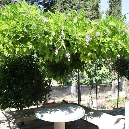 تشيوسي B&B Al Frantoio المظهر الخارجي الصورة